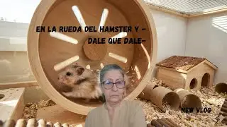 Cuba-Venezuela en la rueda del hamster