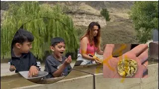 Gold panning experience in southland New Zealand 🇳🇿 #family #youtubevloggers #youtubekids #adventure