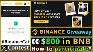 Binance $800 in BNB Giveaway | Show off your Binance Cat to win BNB | How to Participate