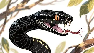 Top 10 Most Dangerous Animals in the Jungle 🐅🌿#jungle #wildlife #predators #dangerousanimals #nature