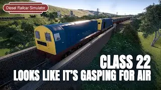 Diesel Railcar Simulator - Is it just me? I see a face with an open mouth, big eyes and little arms