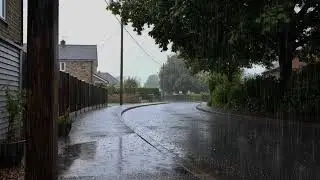 Rain Drizzle on Green Forest Leaves | Soothing Ambient Audio for Sleep