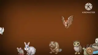 Woodland animal size  comparison for kids 