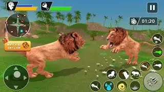 The Lion animal gems 3D games _  Lion  attack on crocodile 🐊🐊 _new game play 2026 super game 🦁