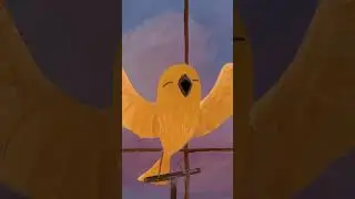 Women's World Cup of Shorts: The Bird and the Whale (Ireland)