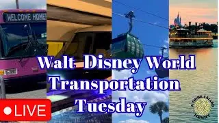 🔴LIVE: Disney Transportation Tuesday | Monorail | Bus | Skyliner | Boat at Walt Disney World Resort
