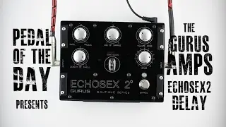 Gurus Amps Echosex 2 Echo Delay Guitar Effects Pedal Demo Video