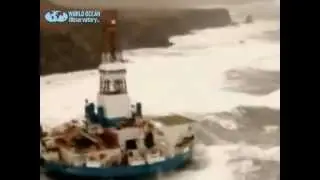 World Ocean Video: 