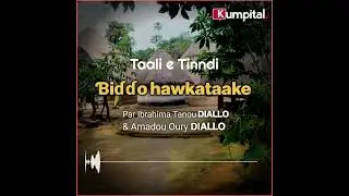 Taali e Tinndi e  haala Pulaar | Ɓiɗɗo hawkataake