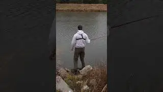 Live mealworms + bamboo rod = fishing success&hellip;