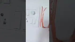 Wall painting on switch board #wallpainting#arts#tree#shorts