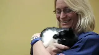 Veterinary Care and Grooming | Cooper City, Florida | Four Paws Animal Hospital