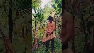 walking lunge# wooden workout# shorts# shortsfeeds# shorts videos#