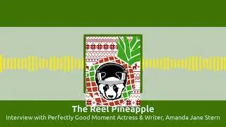 Interview with Perfectly Good Moment Actress & Writer, Amanda Jane Stern | The Reel Pineapple