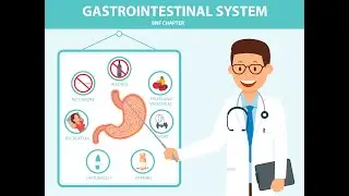 Gastro Intestinal System BNF course page