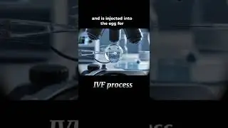 IVF Process made simple  #ivfjourney #fertility #healthtipsbychristy