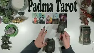 ТЕЛЕЦ ♉️ ВЫ ДОБЬЁТЕСЬ СПРАВЕДЛИВОСТИ! 17-23 НОЯБРЯ. Еженедельное гадание на картах Таро 🔮💫