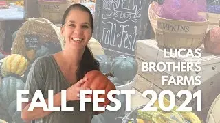Celebrate Fall at Lucas Brothers Farms in Bellbrook, Ohio