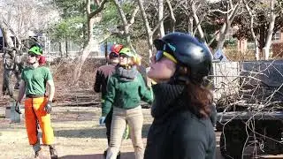 Tree Crew