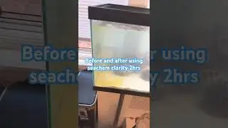 Seachem clarity #music #hiphop #fish #fishtank #reeftank #saltwaterfishtank #nemo