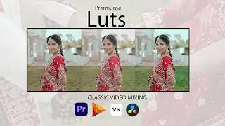 EDIUS and Premier Pro Cinematic Luts 2026