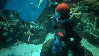 Видео от первого лица с аттракциона Lego Deep Sea Adventure в Леголенде Виндзор.