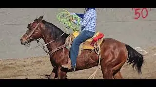 Octubre 25 del 2025 lienzo charro 7 leguas Polla libre