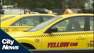 Temporary taxi rate increase a 'first step': Industry leaders