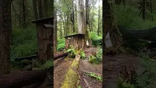 We Found A Sauna In The Forest