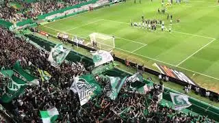 ARREPIANTE MOMENTO EM ALVALADE | Haka Sporting Clube de Portugal | Curva Sul | Os melhores adeptos