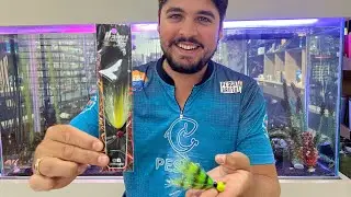 Esse &eacute; o Jig que voc&ecirc; precisa usar na sua pr&oacute;xima pescaria! Itaipu Jigs