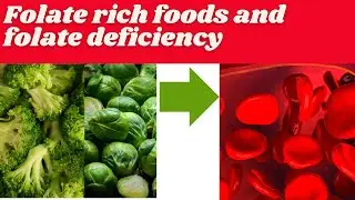 Folate rich foods  | effortlesshealthtips