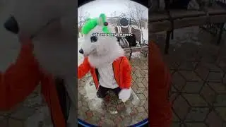 Я максимально серьёзен!!! #grinya #гриня #furry #курган #kurgan #Фурри