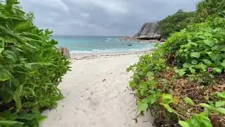 #Seychelles F&eacute;licit&eacute; Island | Anse P&eacute;niche beach 🏖 | walking on the beach 🏝.