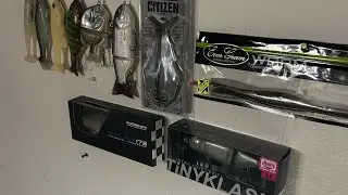 Talking About Some Swimbaits!