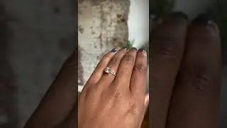 1.31ct Round Grey Diamond Evergreen 4-Prong and Scattered Diamond Solitaire by Anueva Jewelry