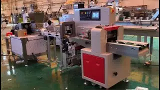 350XL extruder and packing machine for tamarind pulp