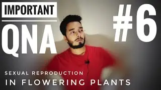 Part- 6 | Important QnA | Sexual Reproduction in flowering Plants | Class 12 | Chapter 2 | BioLogic