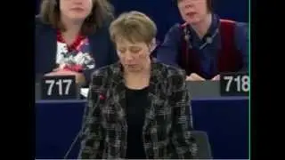 Labour MEP says EU Budget must give value to citizens