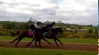 Ebony Princess Entered for Cork Racecourse Mallow - Celtic Racing Club