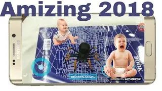 Amizing App live Animals 2018 / by Technical Pyare