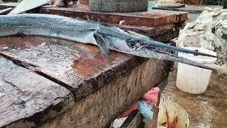 5 Ft Long Monster Gar Fish Cutting | Monster Fish Cutting Skills