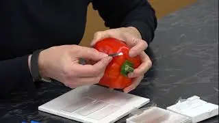 Episode 2: Red pepper wet mount