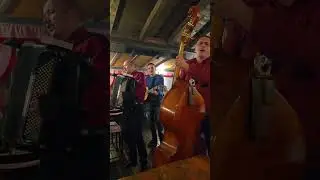 Golubica, akustična obrada @muzikanauvce