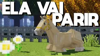 MINHA &Eacute;GUA ENTROU EM TRABALHO DE PARTO! - MINECRAFT HARAS EP31