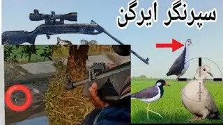 Vicky Raja hunting totloai Birds shooting use air gun sr1000x tatloi 