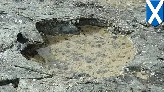 Dino tracks: 50 dinosaur footprints uncovered in Scotland - TomoNews