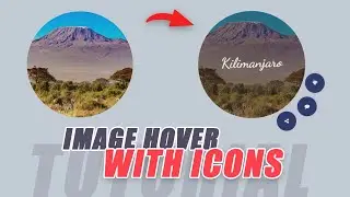 Image with Multi Icons on Hover Effect using CSS