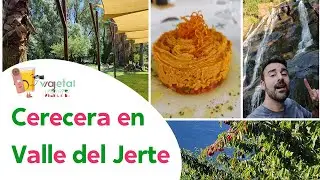 Cerecera en Valle del Jerte