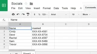 Mask SSNs in a Spreadsheet